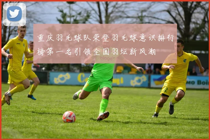 重庆羽毛球队荣登羽毛球意识排行榜第一名引领全国羽坛新风潮