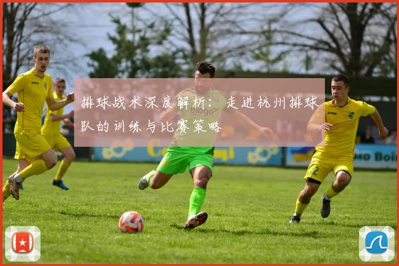 排球战术深度解析：走进杭州排球队的训练与比赛策略