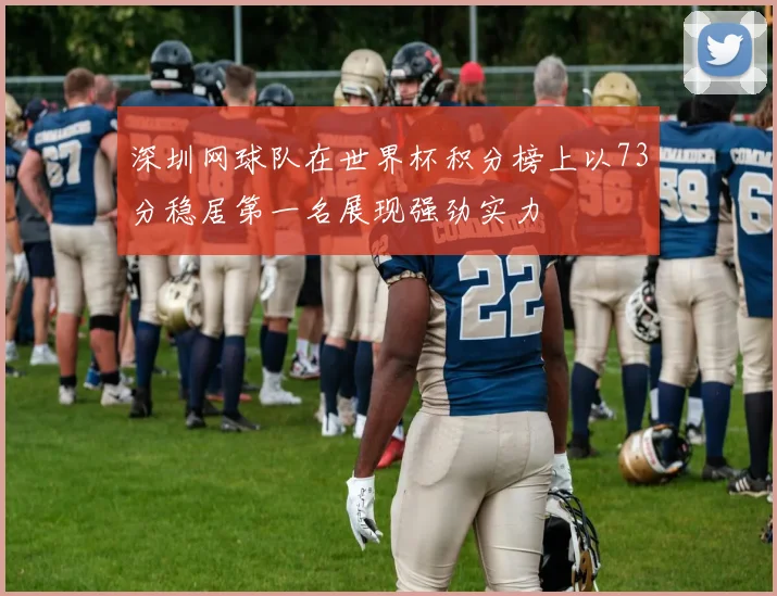 深圳网球队在世界杯积分榜上以73分稳居第一名展现强劲实力