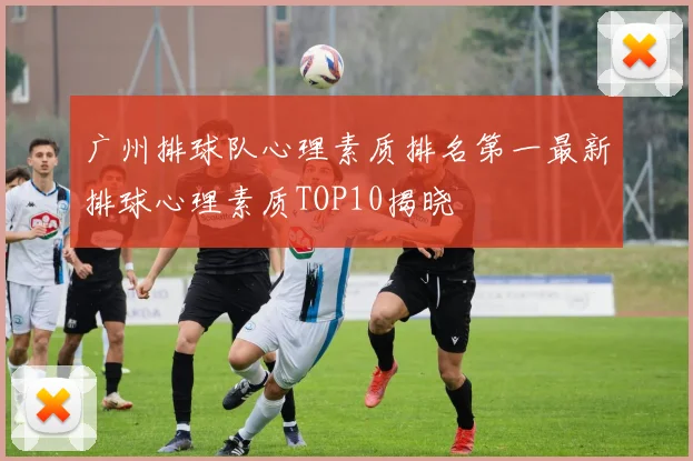 广州排球队心理素质排名第一最新排球心理素质TOP10揭晓