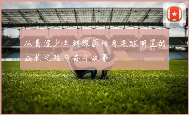 从青涩少年到绿茵传奇足球明星的成长之路与奋斗故事