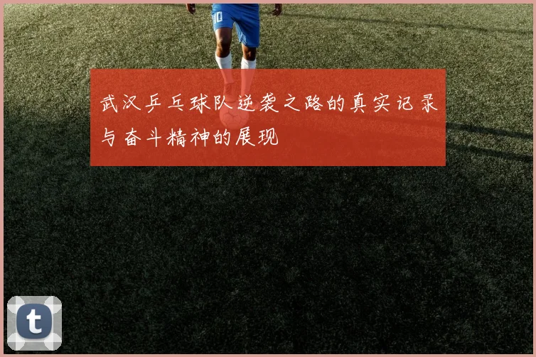 武汉乒乓球队逆袭之路的真实记录与奋斗精神的展现