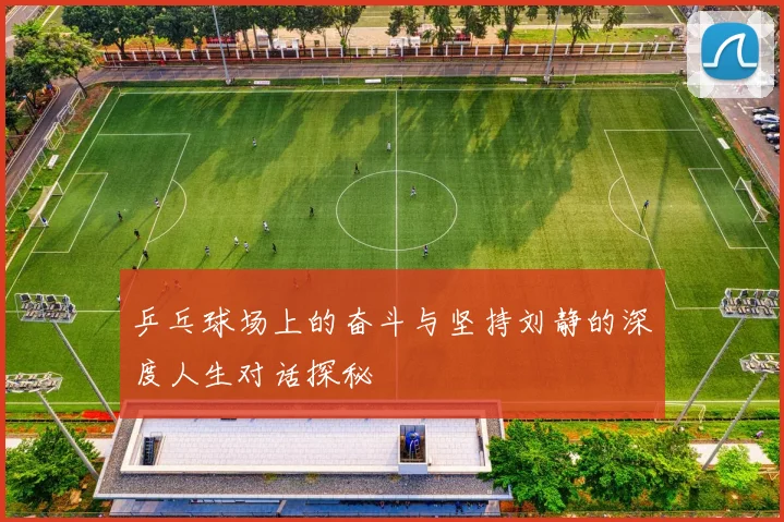 乒乓球场上的奋斗与坚持刘静的深度人生对话探秘