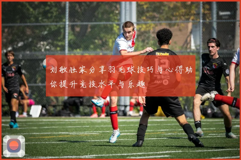 刘敏独家分享羽毛球技巧与心得助你提升竞技水平与乐趣