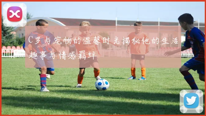 C罗与宠物的温馨时光揭秘他的生活趣事与情感羁绊