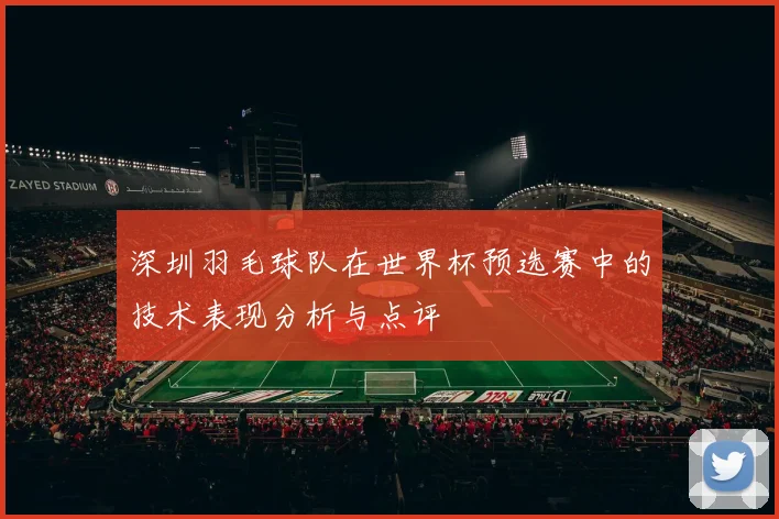 深圳羽毛球队在世界杯预选赛中的技术表现分析与点评