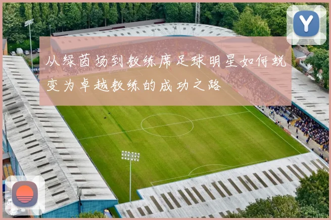 从绿茵场到教练席足球明星如何蜕变为卓越教练的成功之路