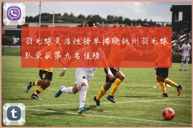 羽毛球灵活性榜单揭晓杭州羽毛球队荣获第九名佳绩