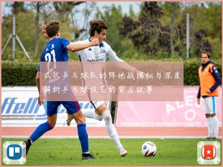 武汉乒乓球队的阵地战揭秘与深度解析乒乓球技艺的背后故事