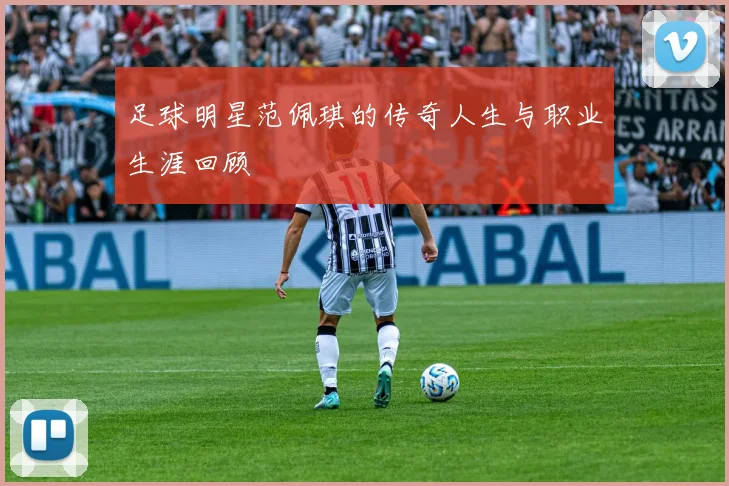 足球明星范佩琪的传奇人生与职业生涯回顾